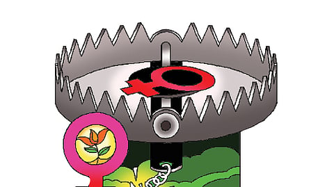 बलिदानी बायका