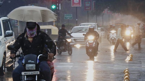 Rain 