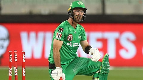 Glenn Maxwell Corona Positive