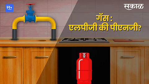 LPG and PNG Gas Information