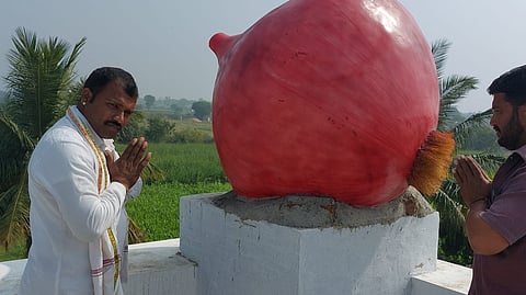Farmers unique gratitude for onions