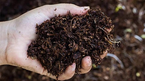 fertilizer