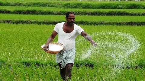 Budget 2022: अन्न आणि खत अनुदानासाठी 3 लाख कोटी रुपये मिळणार?