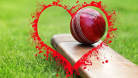 Cricket Pitch 