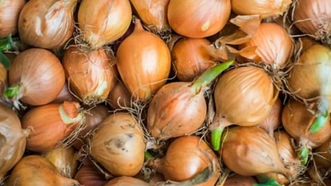 onions