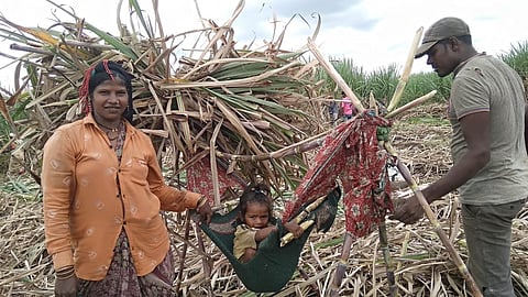 Sugarcane workers