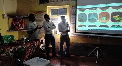Ansure Biodiversity now a click away 