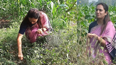 Rohini Khadse