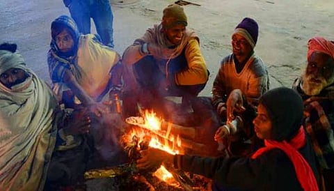 विदर्भ, उत्तर महाराष्ट्रसह मराठवाड्यात थंडीचा जोर कायम, पुढील 24 तास थंडीचा कडाका
