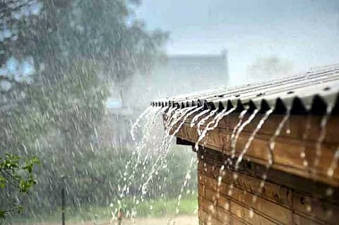 rain