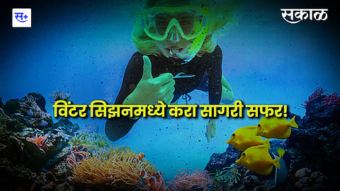 विंटर सिझनमध्ये करा सागरी सफर!