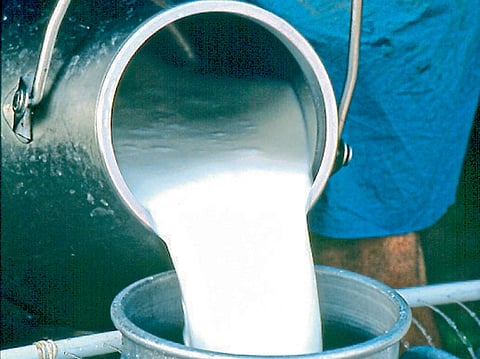 Milk purchase rate