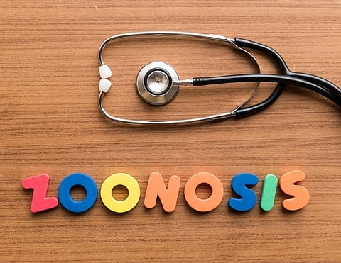 zoonosis
