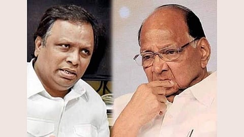 Ashish shelar criticized sharad pawar and ncp on nawab malik ed raid  