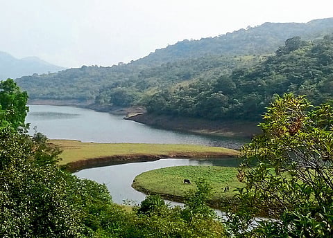 kal river