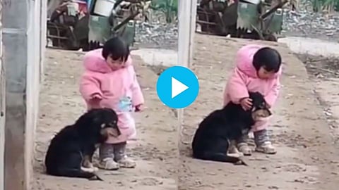 Viral Video of Girl helping Dog
