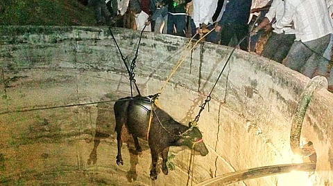 nashik
