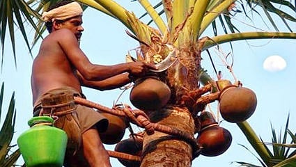 अवैध ताडी विक्रीप्रकरण