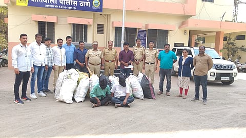 Sandalwood smugglers
