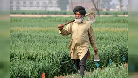 Punjab