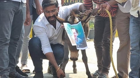 Balamuri Venkat Narsingh Rao