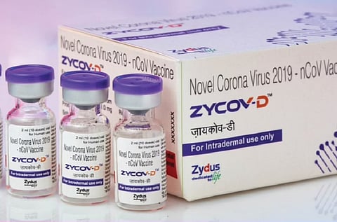 zycov d