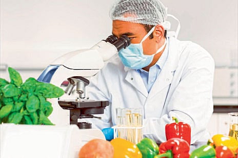 Food technology 