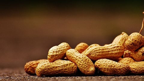 Peanuts