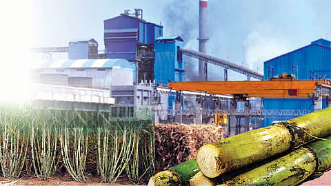 sugar factories 