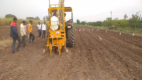 Sugar Cultivation Through Machine In Aurangabad 