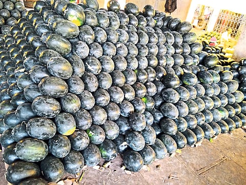 Watermelon fruit
