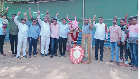  मिरवणूक काढत बैलगाडा मालकांनी त्याचे कौतुक केले.
