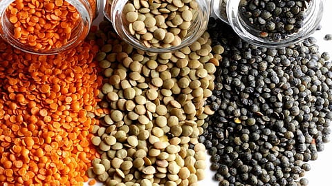 These 4  Foods have High Protein lentils 