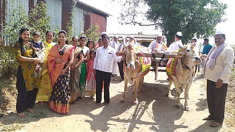 Bullock cart