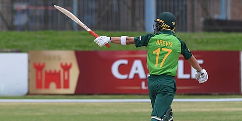 Dewald Brevis 