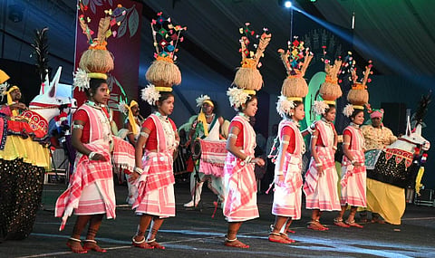 आदिवासी सांस्कृतिक महोत्सव