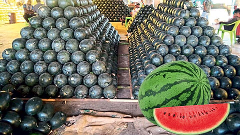 temperature rose  Watermelon Muskmelon Fruit Increased inflows
