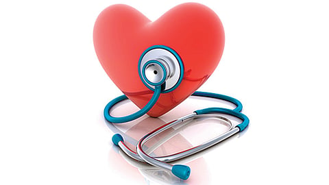 Heart