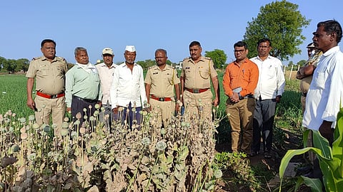 opium farming