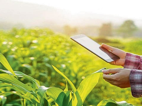 सर्वोत्तोपरी पीक पेरा करण्यासाठी जनजागृती सुरु आहे. 