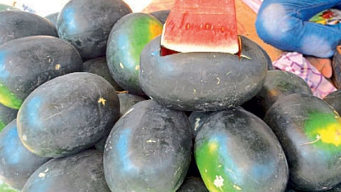 watermelon