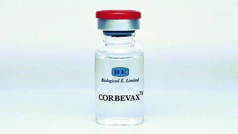 Corbevax vaccine
