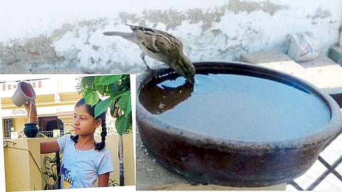 Student initiative for summer water for the flying birds