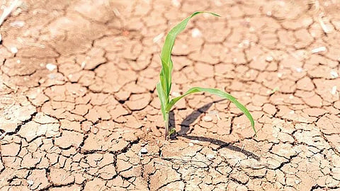  water scarcity