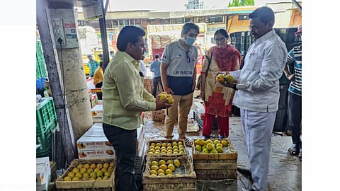 Hapus Mango