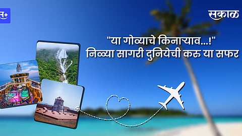''या गोव्याचे किनाऱ्याव...!'' निळ्या सागरी दुनियेची करु या सफर