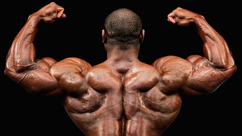  bodybuilders