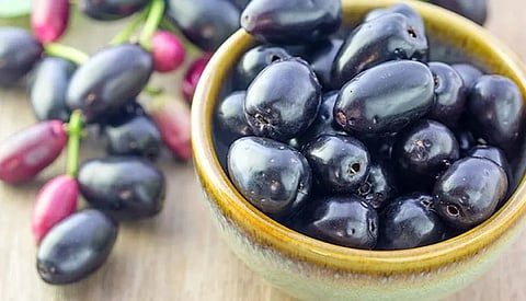 Jamun Health Benefits in Marathi 