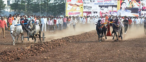 cabinet meeting decided to withdraw cases against organizers of bullock cart race  