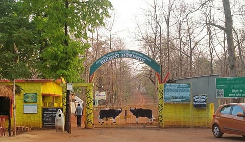 Nagzira sanctuary 